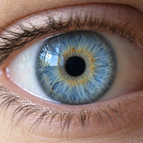 Iris bleu clair avec un anneau doré.